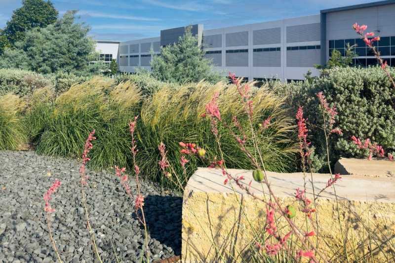 Gateway-logistic-center-by-Belle-Firma