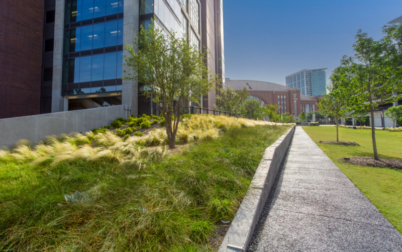 Victory-Plaza-Landscape-Project-by-Belle-Firma-in-Dallas-TX13