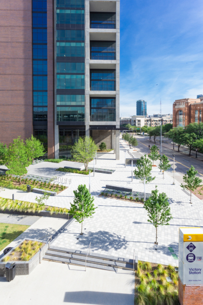 Victory-Plaza-Landscape-Project-by-Belle-Firma-in-Dallas-TX28