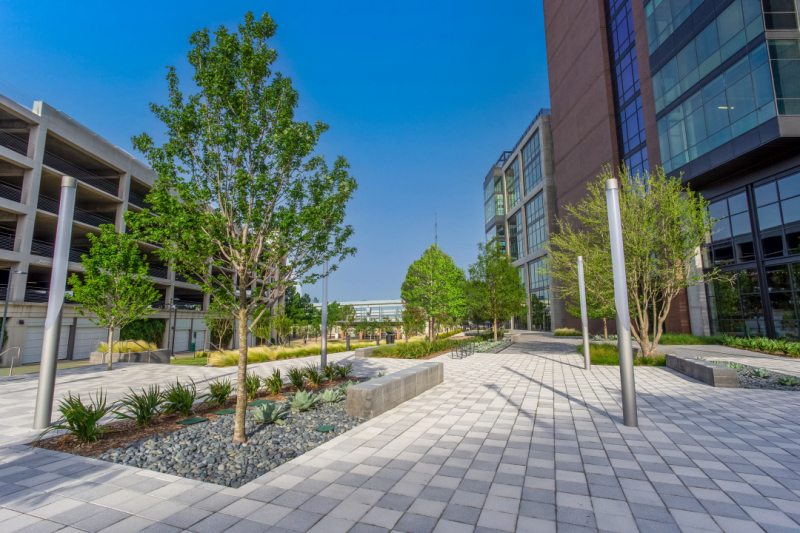 Victory-Plaza-Landscape-Project-by-Belle-Firma-in-Dallas-TX4