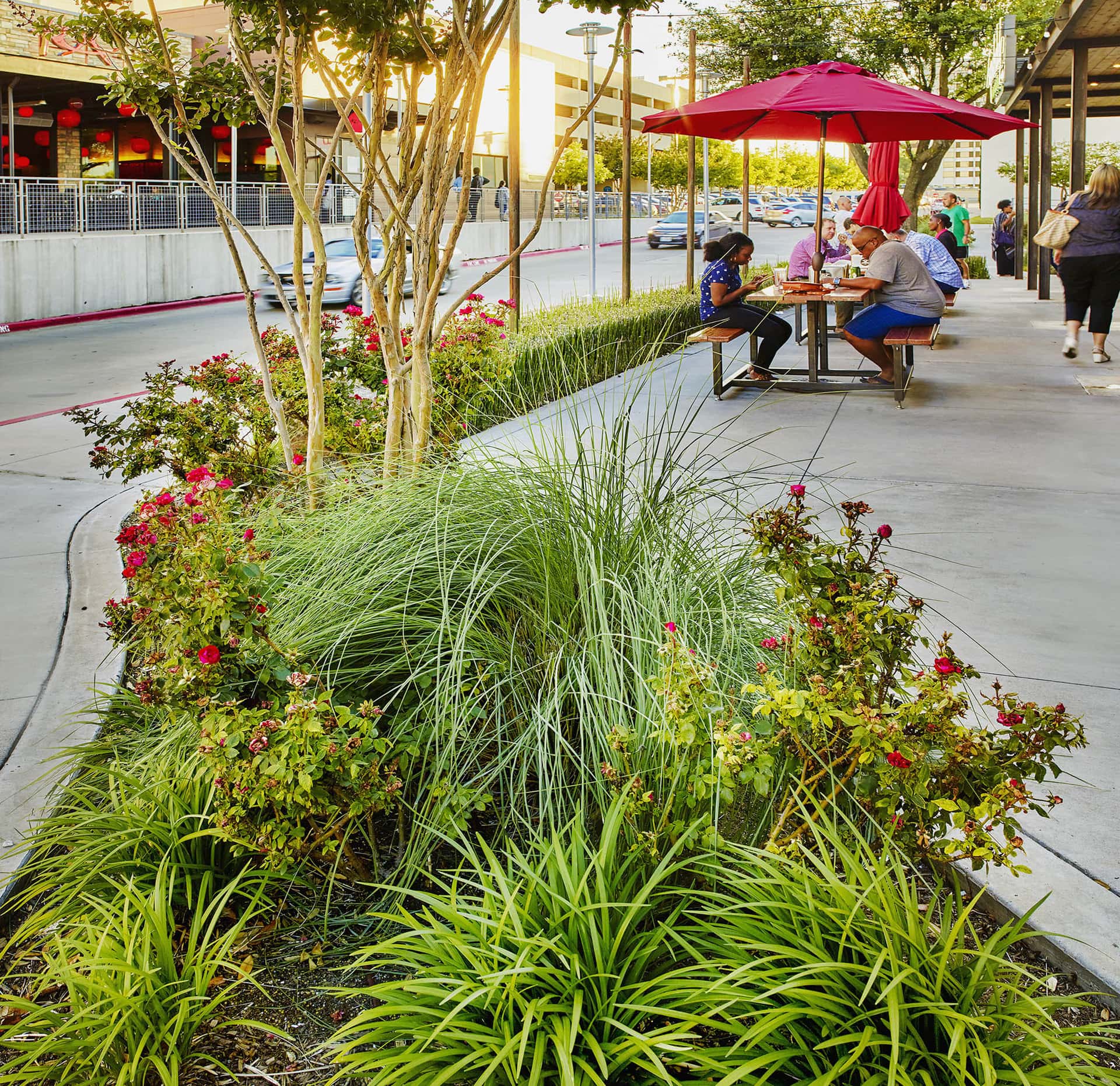 village on the parkway commercial landscaping