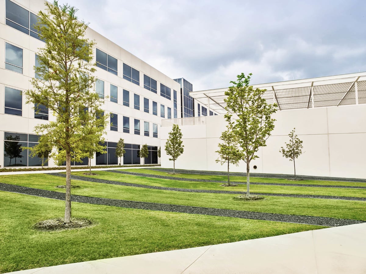 Alcatel-Lucent commercial landscaping in Plano TX