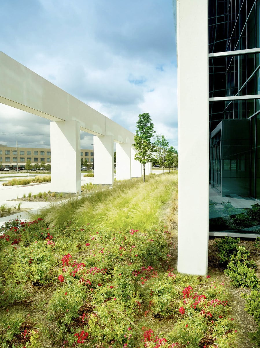 Alcatel-Lucent commercial landscaping in Plano TX